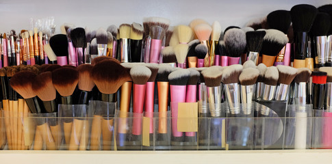 Many professional makeup brushes in different type.