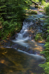 Fototapeta na wymiar Allerheiligen Waterfalls II