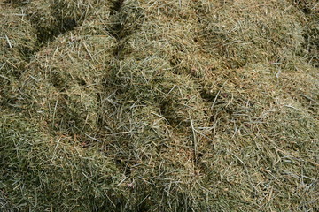 Haystack
