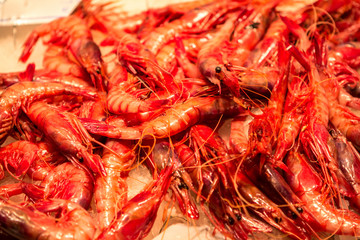 Fresh seafoods at the market in Barcelona