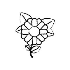 monochrome blurred silhouette of abstract sunflower plant in closeup vector illustration