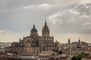 Fototapeta na wymiar New Cathedral , one of the two cathedrals of Salamanca, Spain.