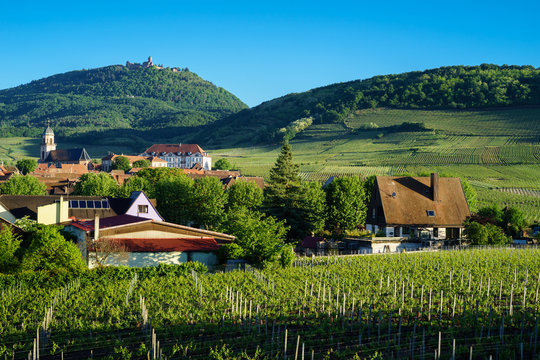 F, Elsa&szlig;, Saint-Hippolyte, Blick &uuml;ber Weinberge auf Kirche, Schlo&szlig; und die Burg Hochk&ouml;nigsburg (Haut Koenigsbourg)