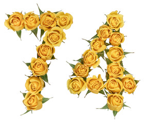 Arabic numeral 74, seventy four, from yellow flowers of rose, isolated on white background