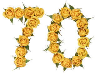 Arabic numeral 70, seventy, from yellow flowers of rose, isolated on white background