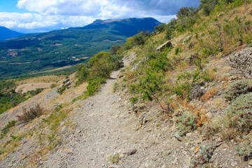 trail in the mountains