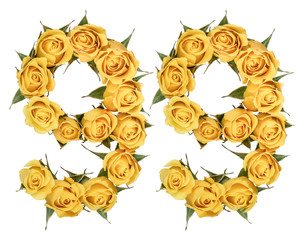 Arabic numeral 99, ninety nine, from yellow flowers of rose, isolated on white background