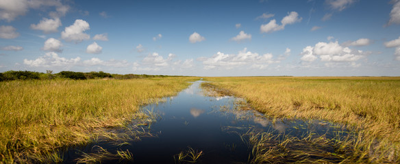 Wetlands in Florida Everglades
