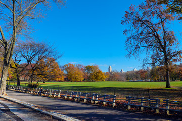 long bench inside central park during autumn ,New York, USA