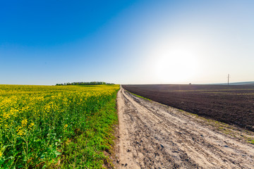 Green Field and Beautiful Sunset