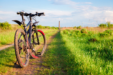 Mountain biking down hill descending fast on bicycle. View from bikers eyes.