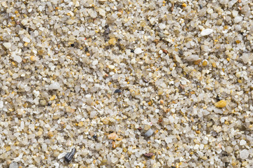 Gravel texture background .Beautiful sea pebbles. rough sea stones.