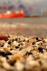 A close up from the ground in the port of Hamburg with a crane in the background