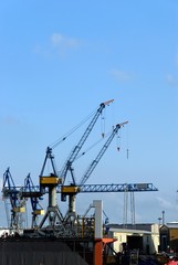 Fototapeta na wymiar The port of Hamburg with a crane in the background and blue sky