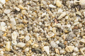 Gravel texture background .Beautiful sea pebbles. rough sea stones.