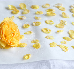 Blüten zuckern und kandieren_Zuckerblüten