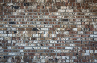 brick wall