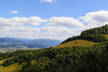 Fototapeta na wymiar Carpathian Mountains in summer time