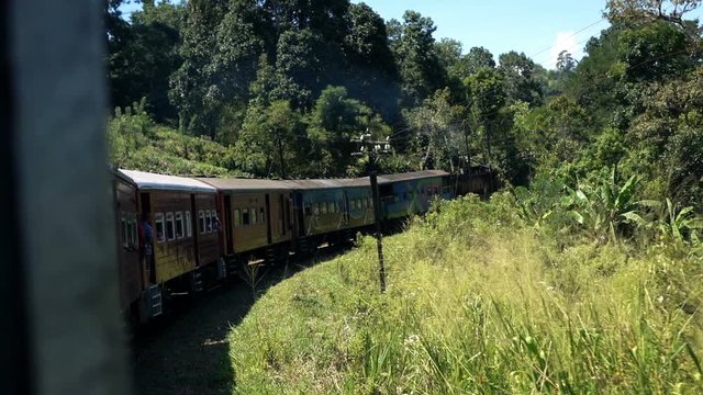 Old train riding through forest in Sri Lanka
