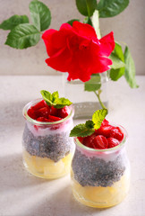 Layered fruit, berry and chia seed and yogurt snack