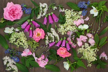 Fototapeta na wymiar Medicinal flower and herb collection used in natural alternative herbal medicine on oak background.