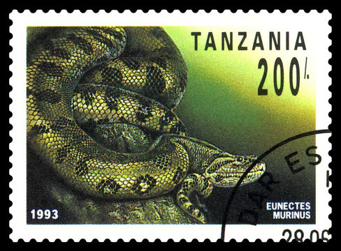 Postage stamp. Anaconda.