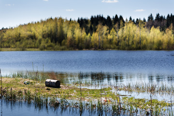Fototapeta premium Spring Park. Lake in the spring park. Spring landscape.