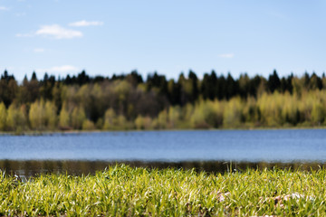 Spring Park. Lake in the spring park. Spring landscape.