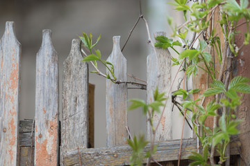 Old fence on a farm in the village.