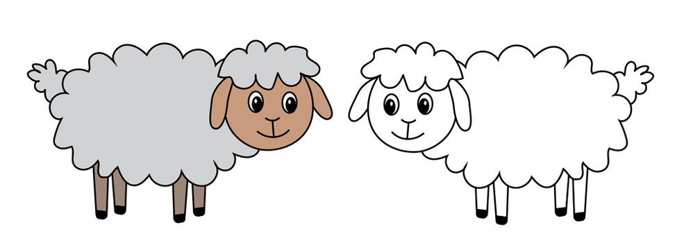 two sheep, set, vector, illustration
