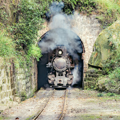 Steam narrow-gauge train