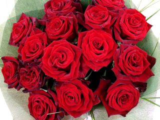 flower, petal, beauty, background, blossom, bouquet, nature, rose, bloom, romance, flora, beautiful, closeup, floral, fresh, plant, love, decoration, valentine, romantic, color, spring, garden, marria