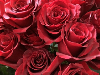 flower, petal, beauty, background, blossom, bouquet, nature, rose, bloom, romance, flora, beautiful, closeup, floral, fresh, plant, love, decoration, valentine, romantic, color, spring, garden, marria