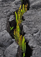 Lava © Sezai