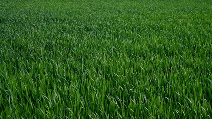 Naturschutzgebiet Deutschland