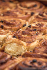 Cinnamon buns close up