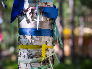 Ritual tree with multi-colored ribbons and scarves
