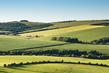 Idyllic Sussex Landscape