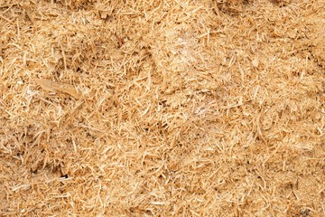 A lot of sawdust from the wood yard