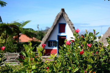 Fototapeta na wymiar Traditional house in Santana, Madeira Island, Portugal