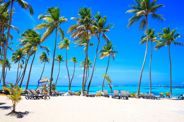 Beautiful beach from Barcelo hotel, Punta Cana - obrazy, fototapety, plakaty