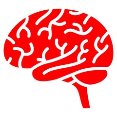 Brain