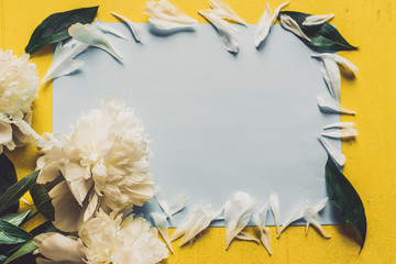 Lone beige white peony on old painted yellow wood grunge background texture for summer. Flat lay, top view with copy space