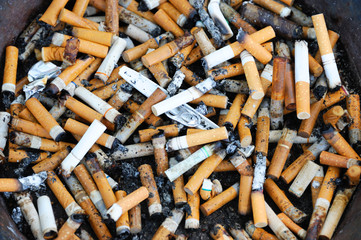 close up on cigarette butts