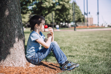 Boy tries on clown's red nose. The child sits under a tree. The concept of an outdoor party. red nose day