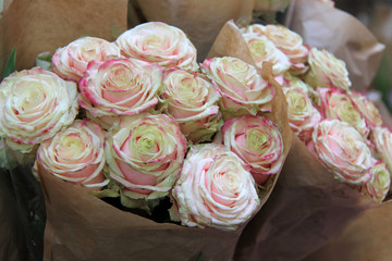 Bunch of Roses, Bouquet - Wrapped in Paper - Pastel colors, pink, cream, white, lilac, purple - Wedding Flowers