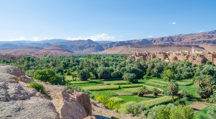 Fototapeta na wymiar Beautiful lush green oasis with buildings and mountains at Todra Gorge, Morocco, North Africa