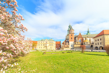 A view of beautiful flowers near Wawel castle i Krakow, Poland