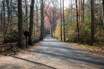 Smokey Mountains 