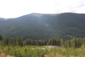 transalpina landscape